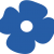 Bluepoppy